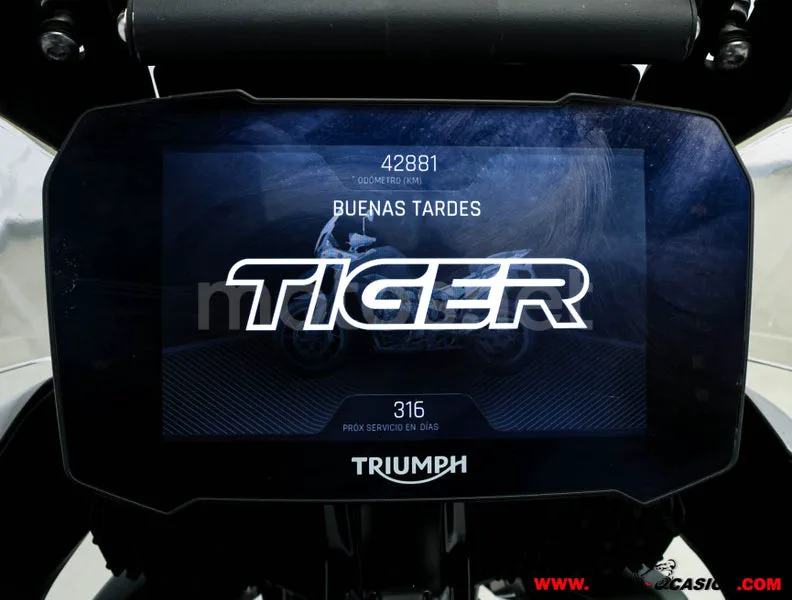 Triumph Tiger 900 - Vista 6
