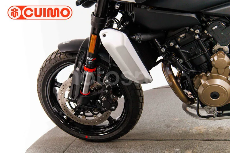 Husqvarna Svartpilen 801 - Vista 21