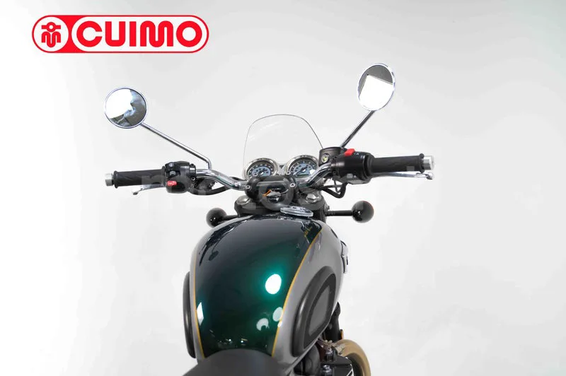 Triumph Bonneville T100 - Vista 17