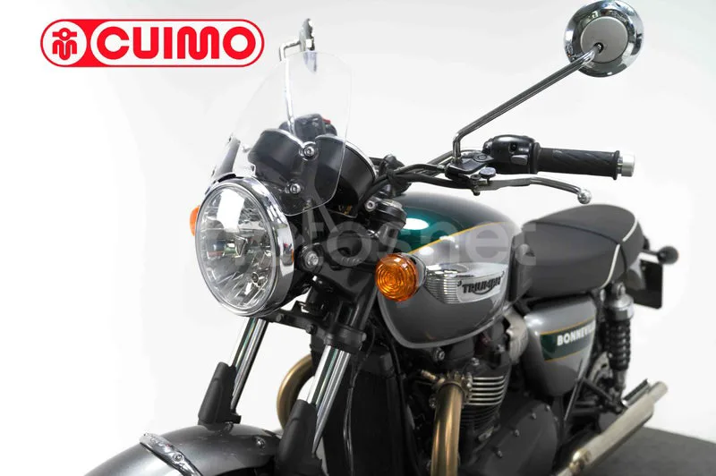 Triumph Bonneville T100 - Vista 22
