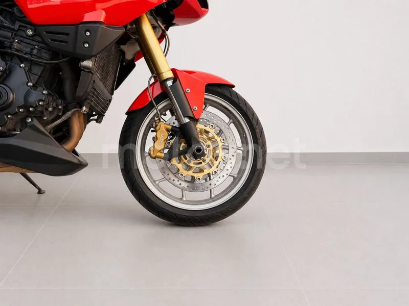 Triumph Tiger 1050 - Vista 9