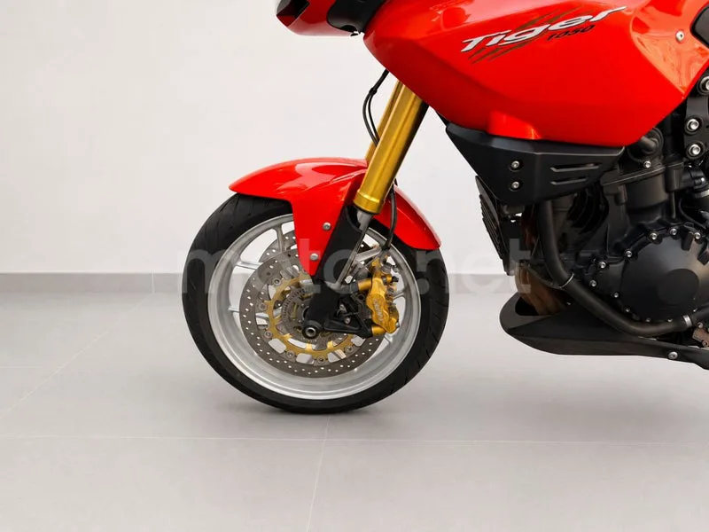 Triumph Tiger 1050 - Vista 10