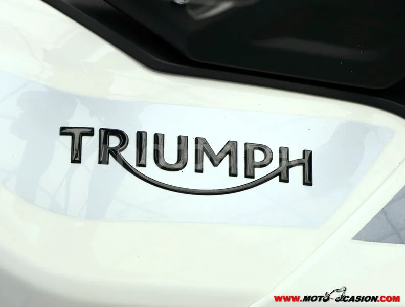 Triumph Tiger 900 - Vista 9