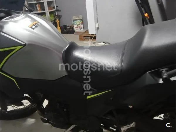 Kawasaki Versys-X 300 - Vista 5