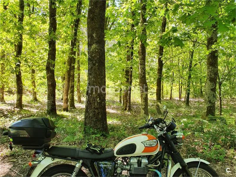Triumph Bonneville T100 - Vista 4