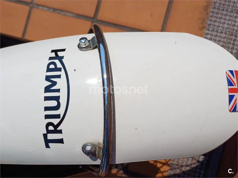 Triumph Bonneville T100 - Vista 8