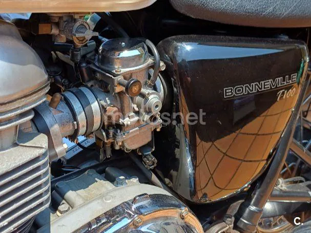 Triumph Bonneville T100 - Vista 10