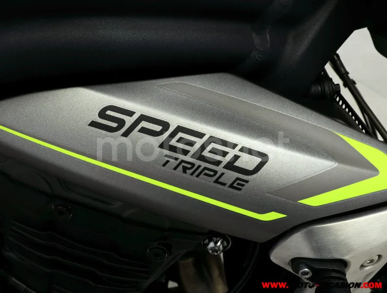 Triumph Speed Triple - Vista 9