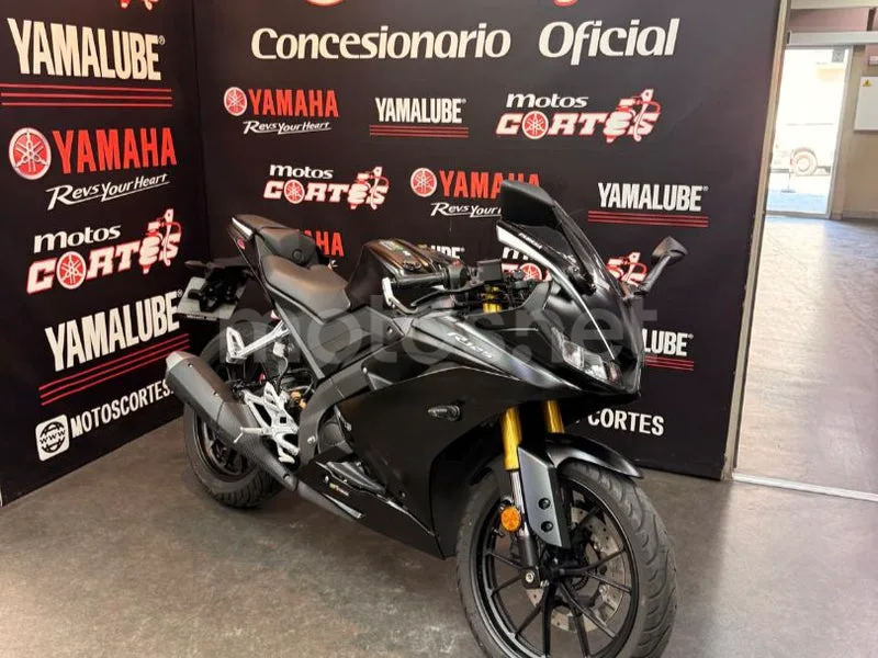 Yamaha YZF-R125 - Vista 13