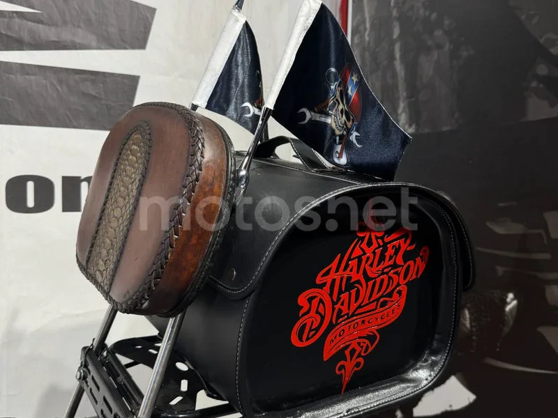 Harley-Davidson Sportster 883 Custom - Vista 13