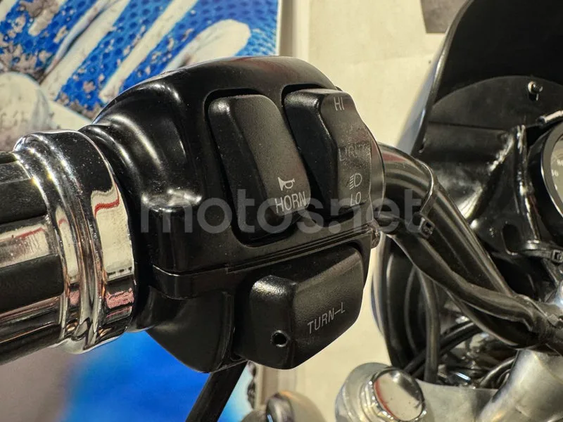 Harley-Davidson Sportster 883 Custom - Vista 15
