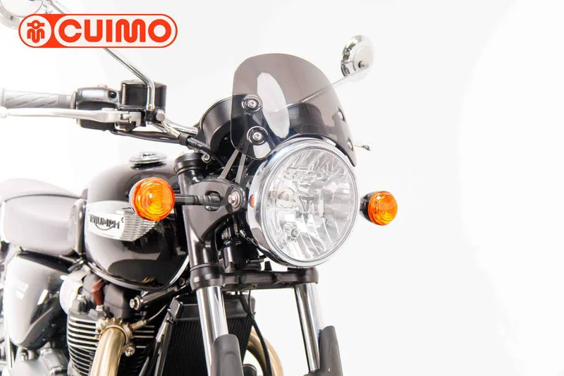 Triumph Bonneville T100 - Vista 11