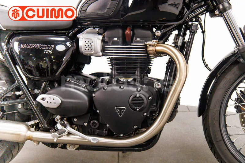 Triumph Bonneville T100 - Vista 13