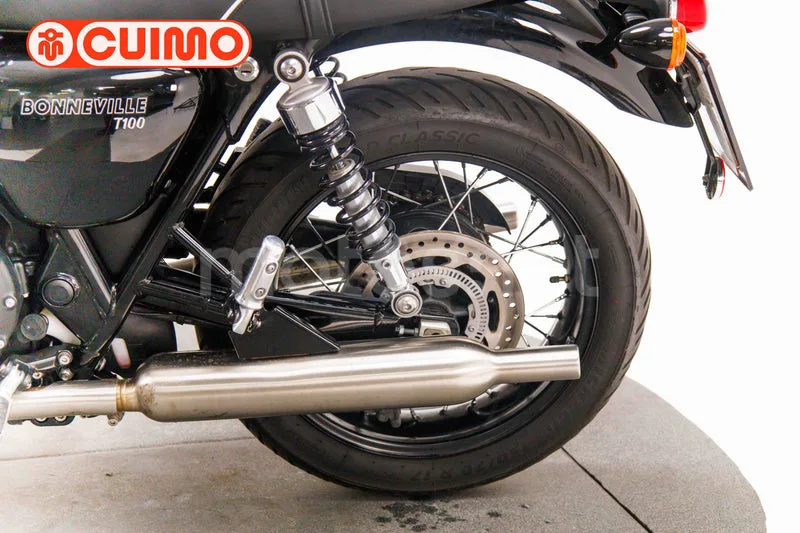 Triumph Bonneville T100 - Vista 18