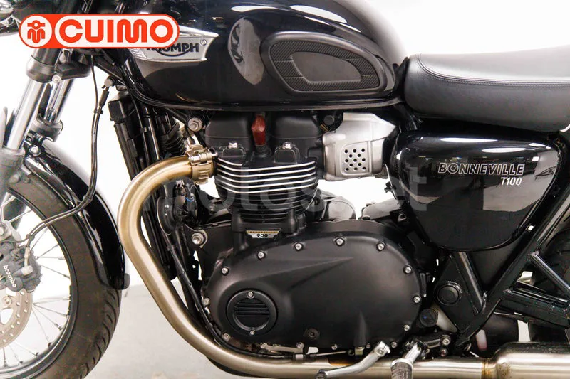 Triumph Bonneville T100 - Vista 19