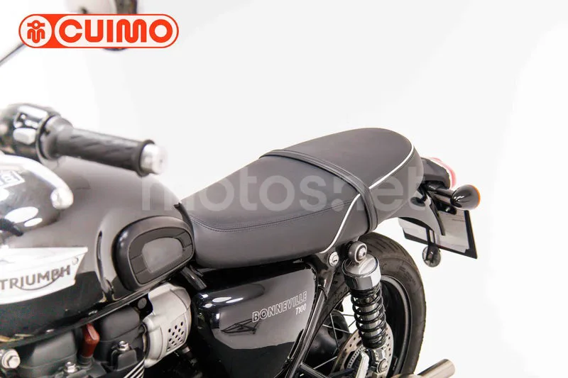 Triumph Bonneville T100 - Vista 23