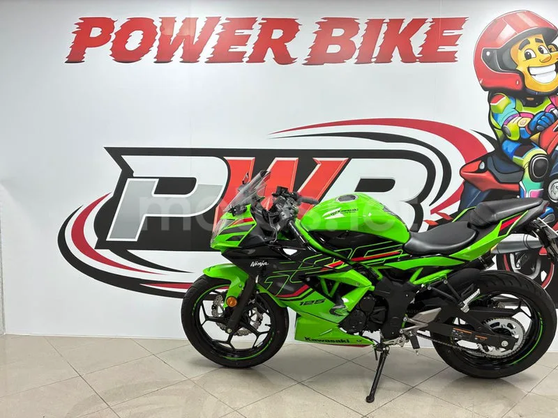Kawasaki Ninja 125 - Vista 5