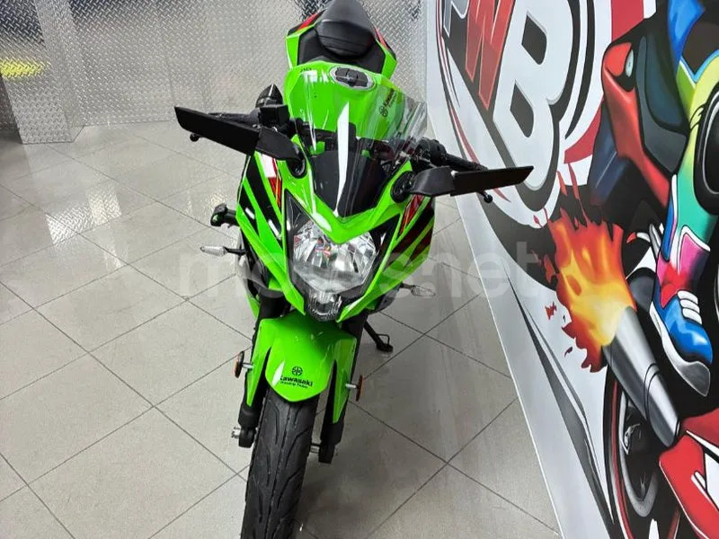 Kawasaki Ninja 125 - Vista 7