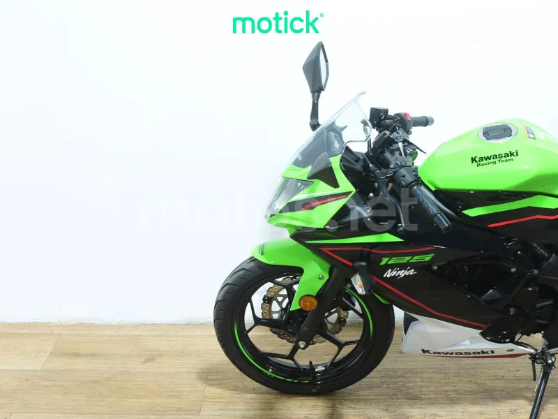 Kawasaki Ninja 125 - Vista 8