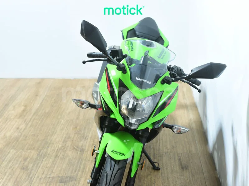 Kawasaki Ninja 125 - Vista 11