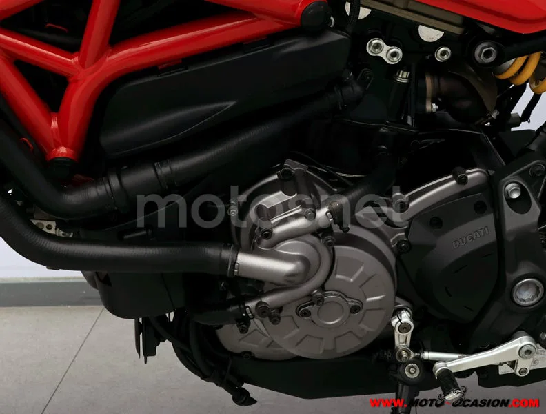 Ducati Monster 821 - Vista 10