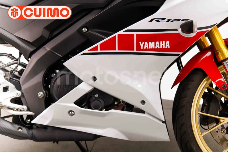Yamaha YZF-R125 - Vista 13