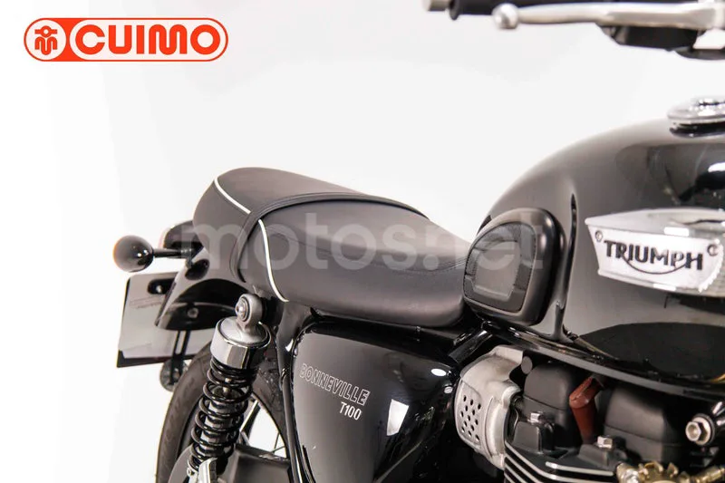 Triumph Bonneville T100 - Vista 12