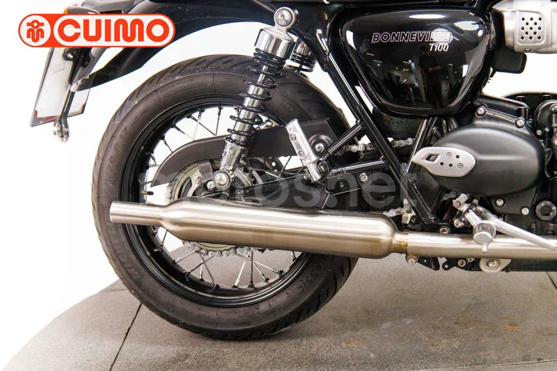 Triumph Bonneville T100 - Vista 14