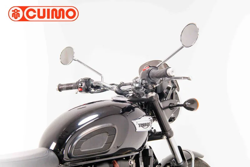 Triumph Bonneville T100 - Vista 15
