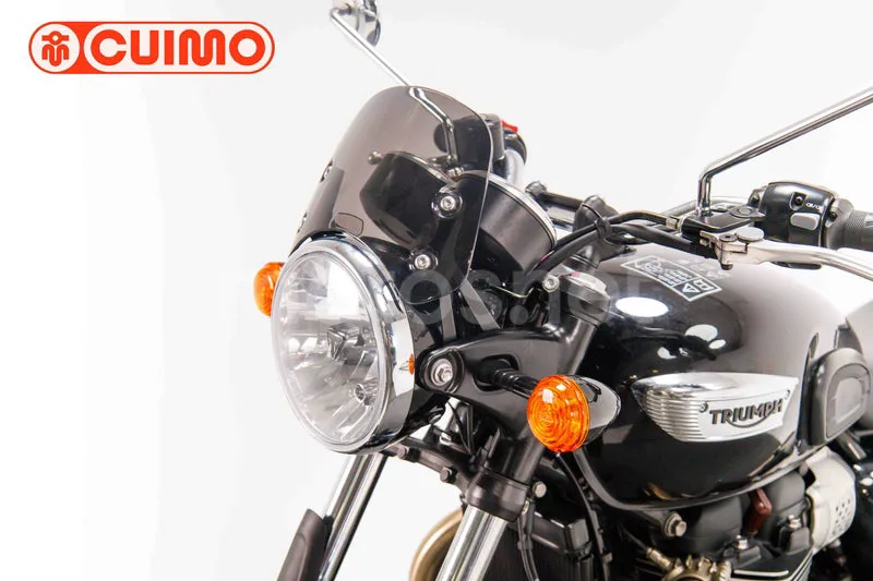 Triumph Bonneville T100 - Vista 22
