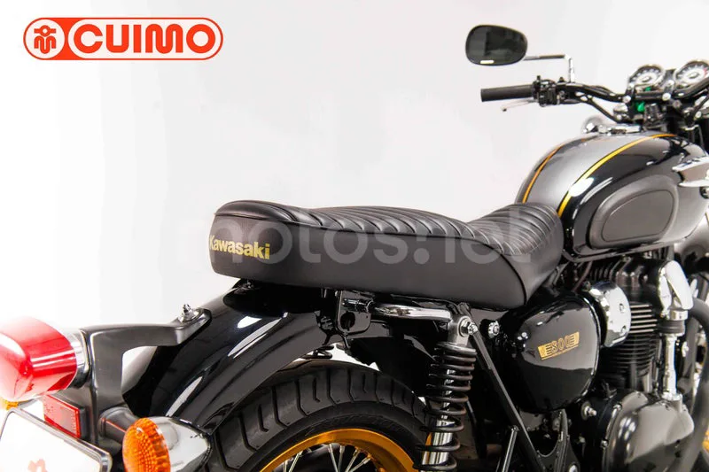 Kawasaki W800 SP - Vista 16