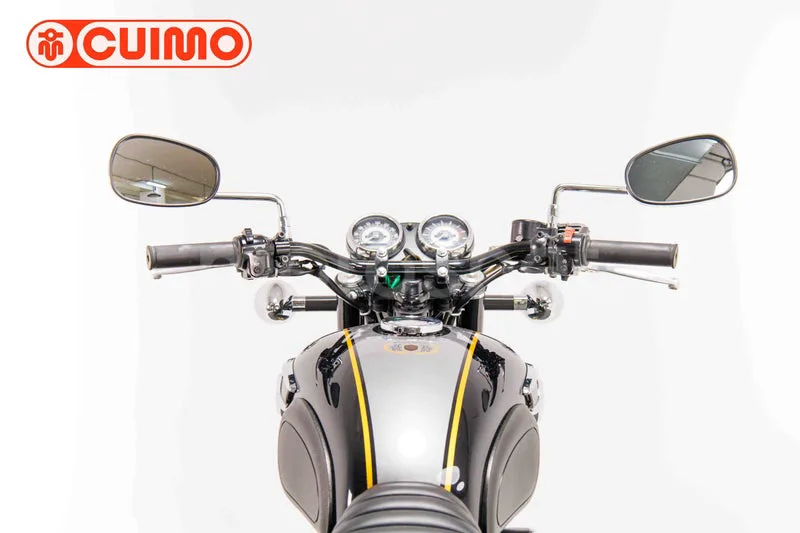 Kawasaki W800 SP - Vista 17