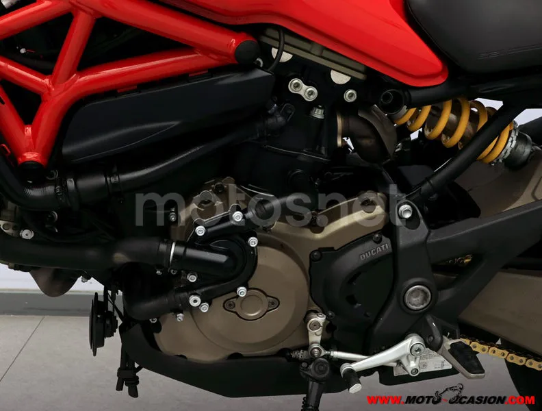 Ducati Monster 821 - Vista 10