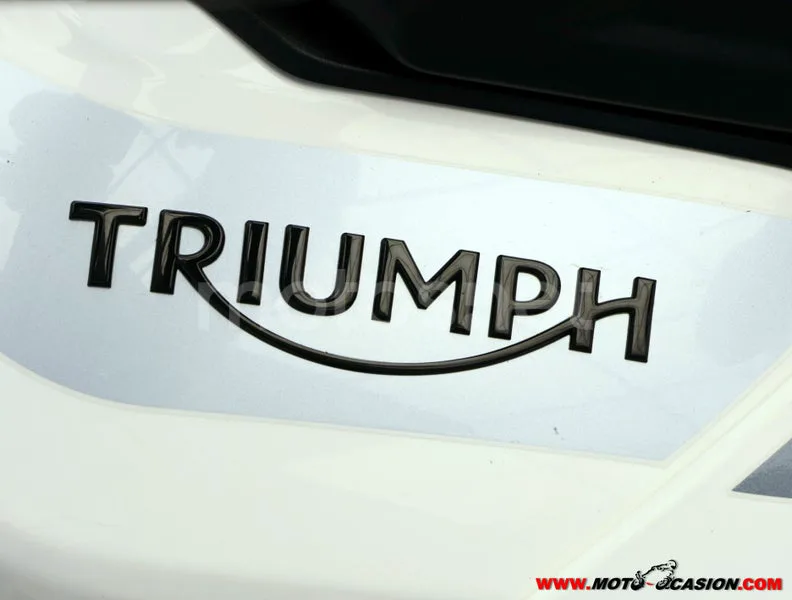 Triumph Tiger 900 - Vista 8
