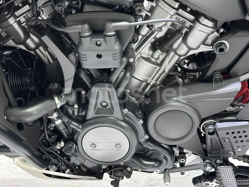 Harley-Davidson Pan America 1250 - Vista 15
