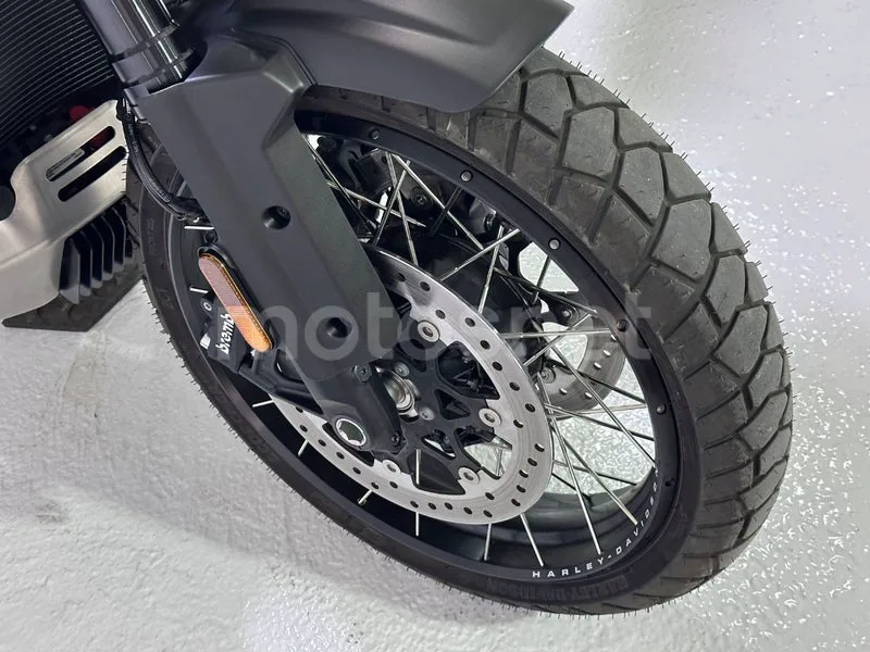 Harley-Davidson Pan America 1250 - Vista 17