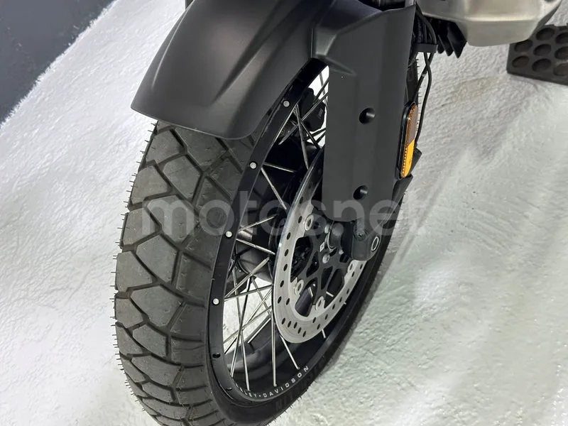 Harley-Davidson Pan America 1250 - Vista 19