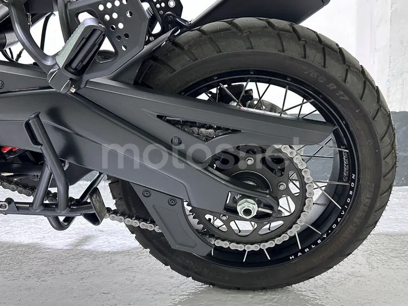 Harley-Davidson Pan America 1250 - Vista 29
