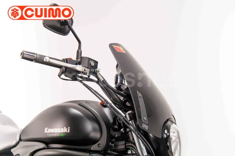 Kawasaki Vulcan S - Vista 11