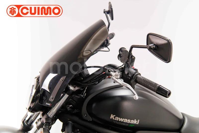 Kawasaki Vulcan S - Vista 22