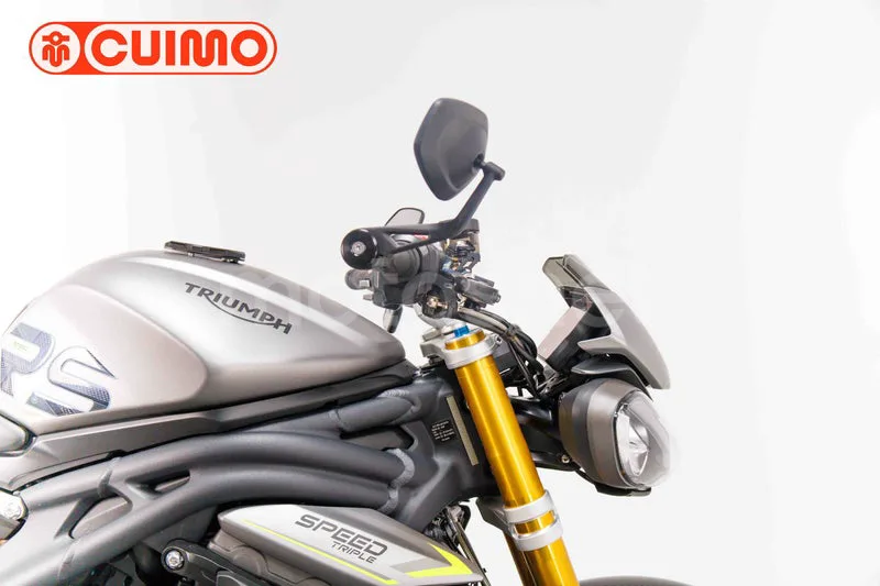 Triumph Speed Triple - Vista 13