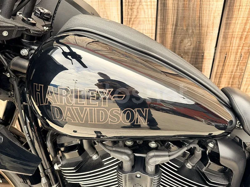Harley-Davidson Low Rider ST - Vista 7