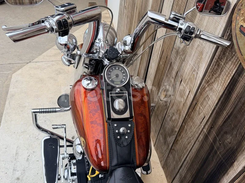 Harley-Davidson Fat Boy - Vista 12