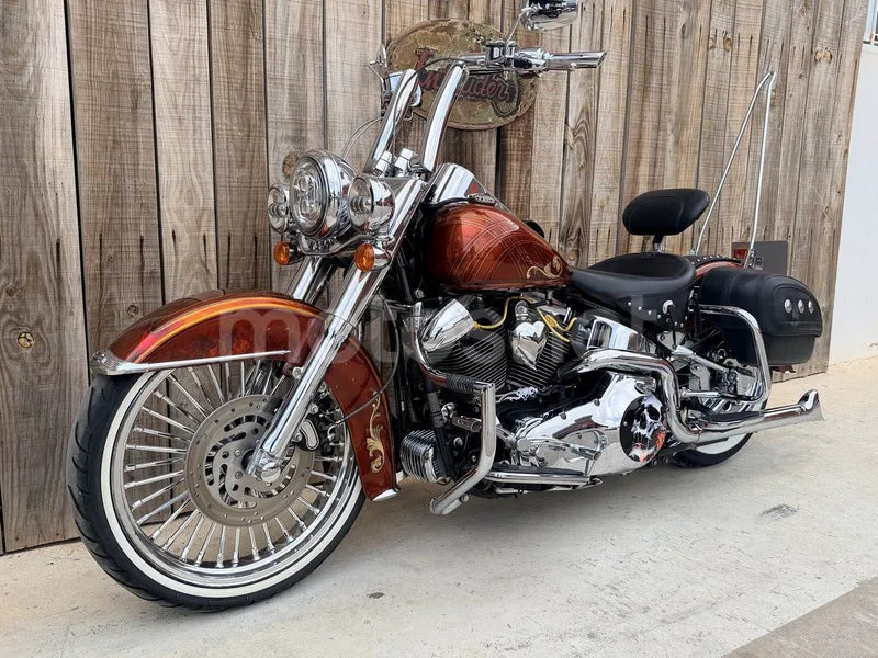 Harley-Davidson Fat Boy - Vista 7