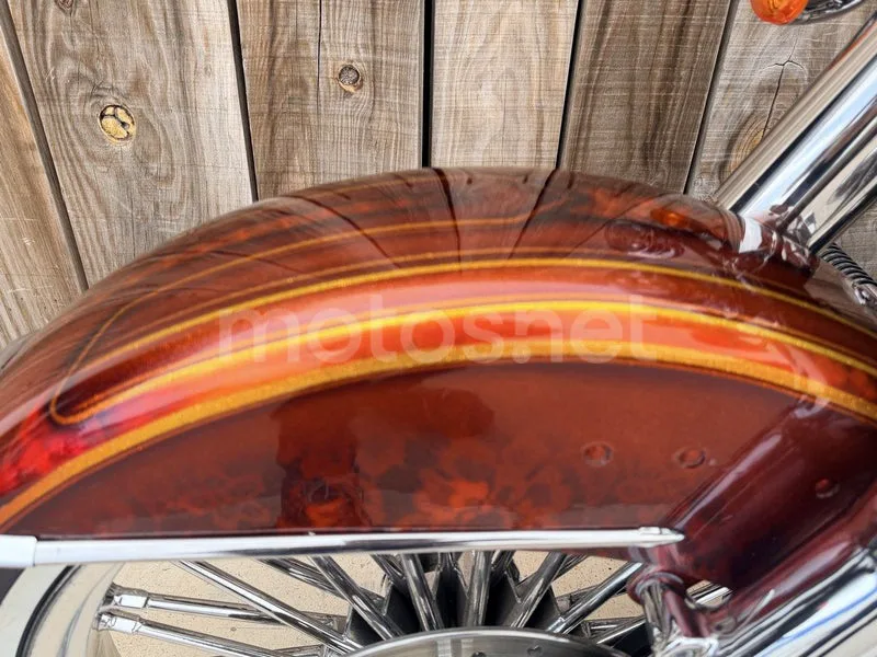 Harley-Davidson Fat Boy - Vista 9
