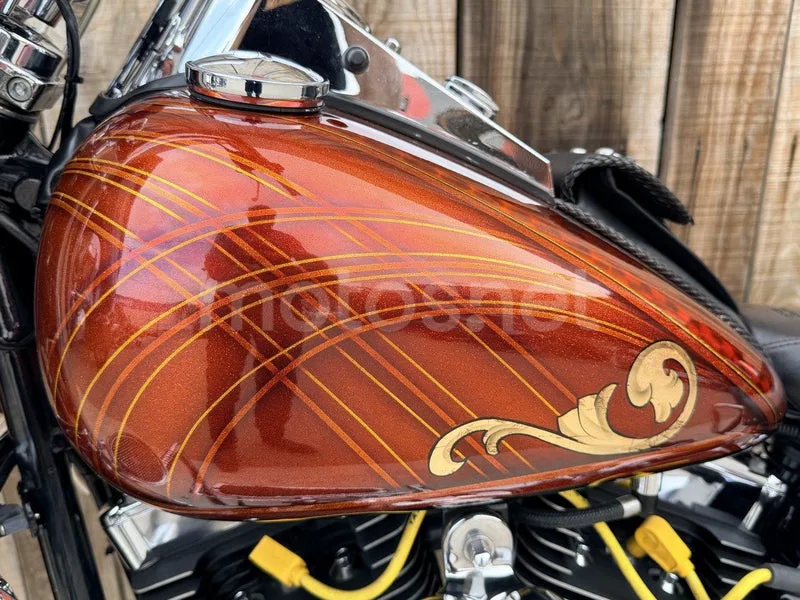 Harley-Davidson Fat Boy - Vista 10
