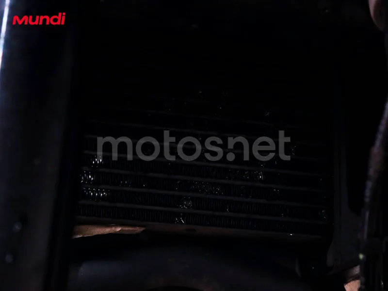 Ducati Multistrada V4 - Vista 24
