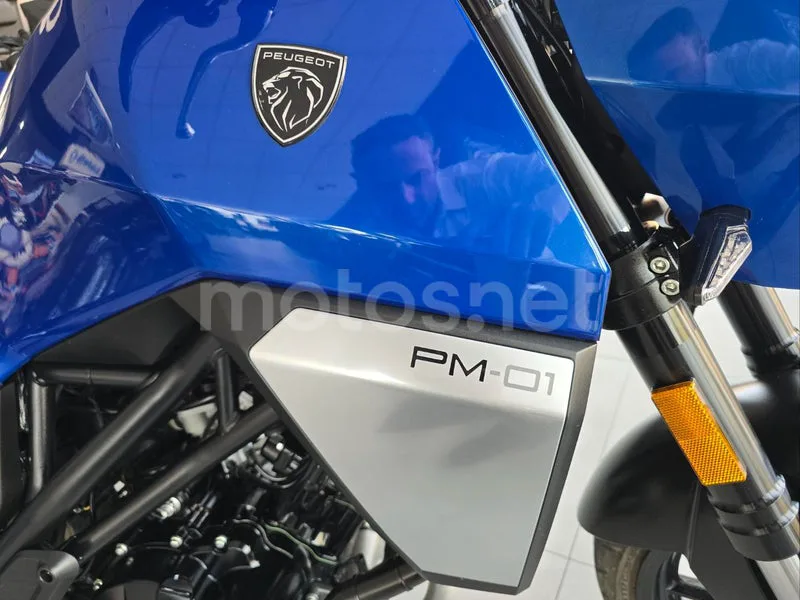 Peugeot PM-01 125 - Vista 12