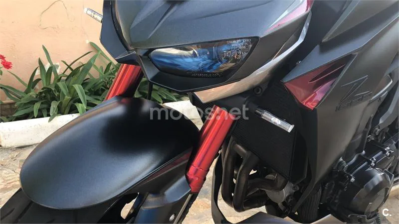 Kawasaki Z1000 - Vista 5