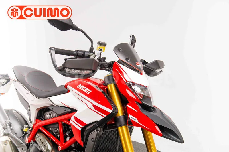 Ducati Hypermotard 939 - Vista 11